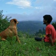 Teja Panneeru