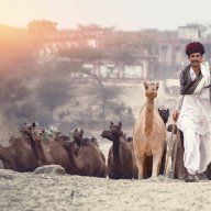 indiatourbytempo